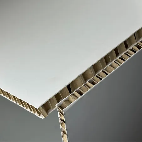 SKINABOARD® Blanco I Cartón alveolar