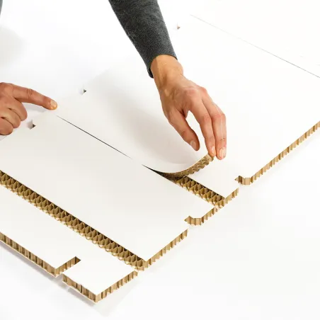 SKINABOARD® 2D Blanco