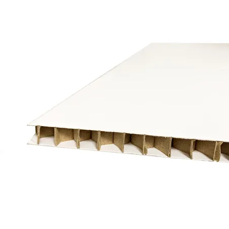 SKINABOARD® 2D Blanco