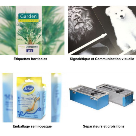 PRYPLON® Polipropileno Film Blanco