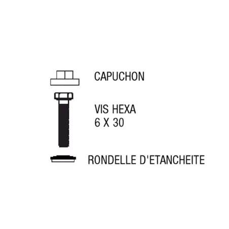 Tornillo hexagonal + arandela de acero inoxidable con junta + tapón de plástico.